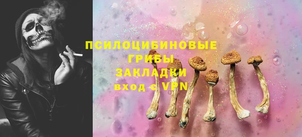 трава Лабытнанги
